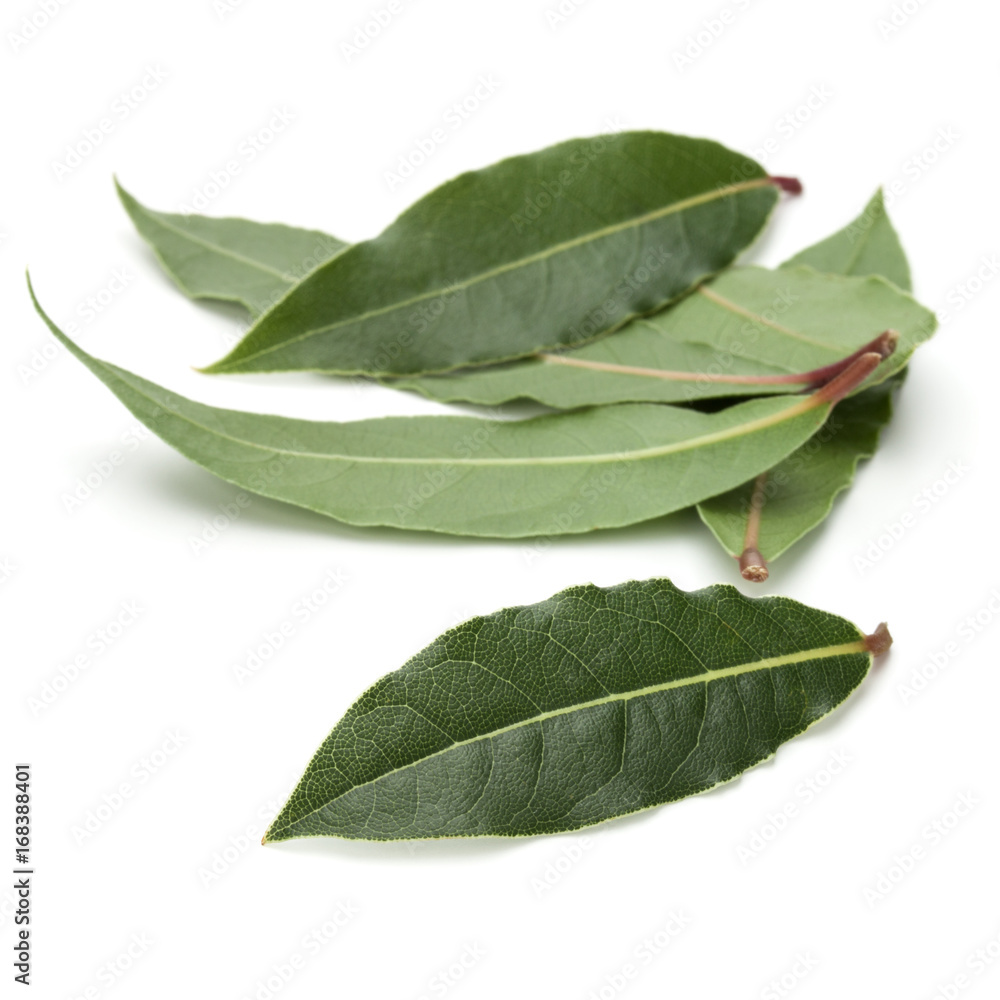 Obraz premium Aromatic bay leaves