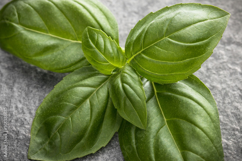 Sweet basil leaves over black stone background. Top view.