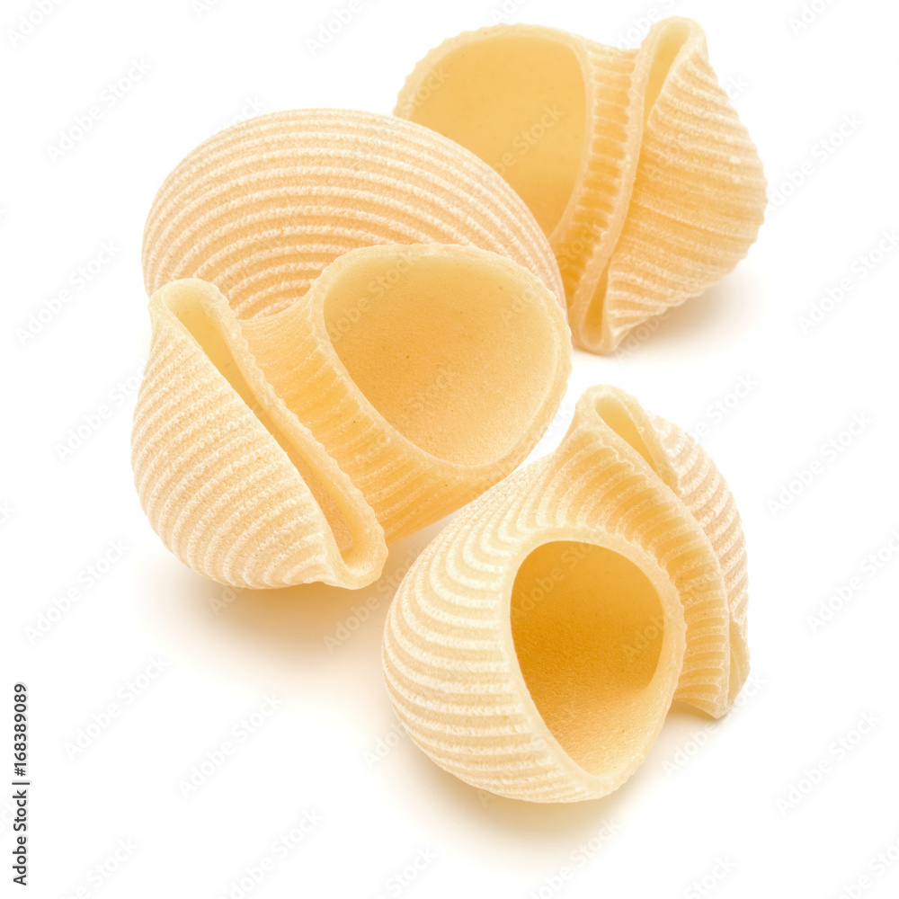 Italian lumaconi isolated on white background. Lumache, snailshell shaped pasta. Italian lumaconi isolated on white background. Lumache, snailshell shaped pasta.