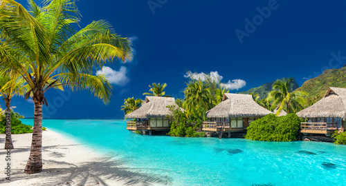Fotografiet Holiday location on a tropical island with palm trees and amazing vibrant beach