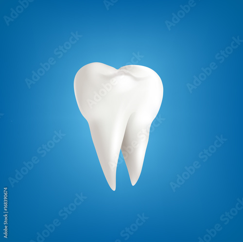 Vector lliustration with realistic tooth, isolated on blue background.Template for design, business, advertising, promotion of products toothpaste. Element for flyer, brochure,  packaging, banner.