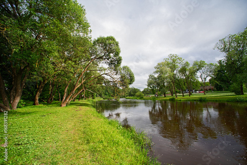 Fototapeta Naklejka Na Ścianę i Meble -  Summer landscape river and trees on the shore