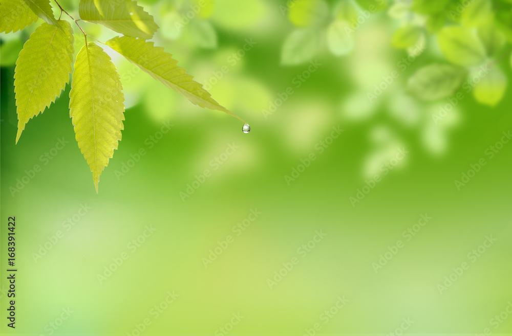 Nature Nature