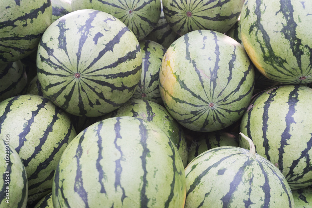watermelon watermelon