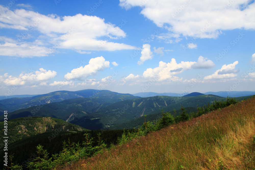 Jeseniky mountains and forests