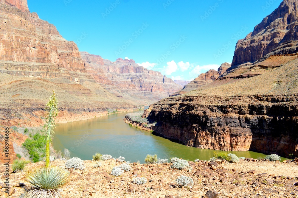 Fototapeta premium ouest americain Grand canyon