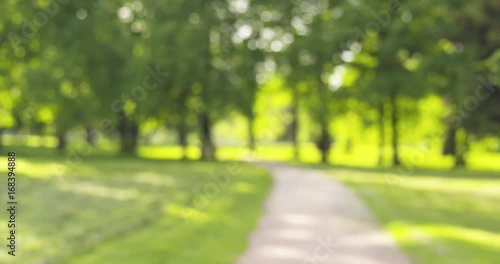 Wallpaper Mural real lens blur of park in sunny day loopable Torontodigital.ca