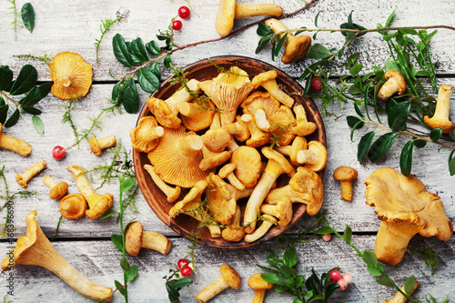 Still life with chanterelle mushrooms and herbs photo