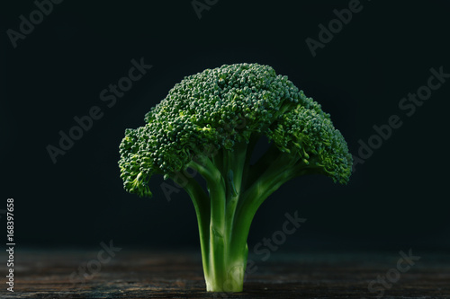 Fresh broccoli on dark background