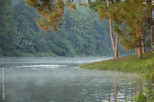 beautiful scenery - mist on the lake in morning
