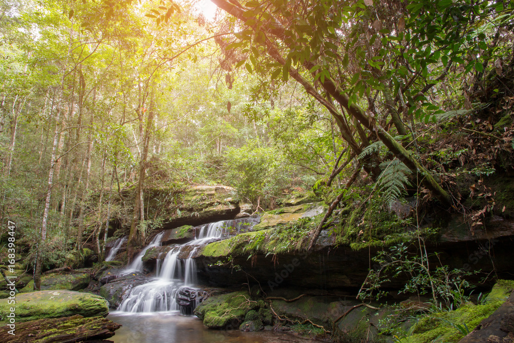 Obraz premium Beautiful waterfall landscape. Waterfall in forest.