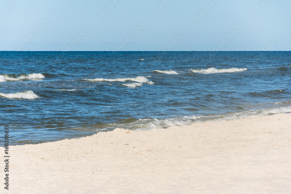Beach and sand dunes and sea with a .branch