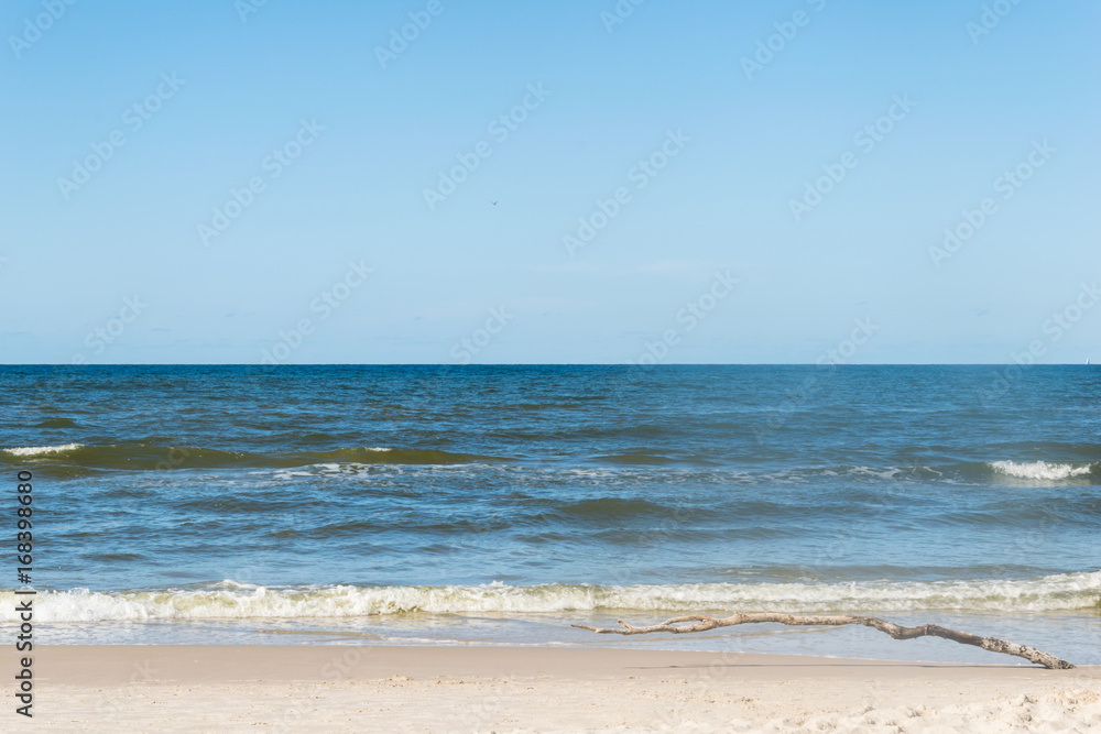 Beach and sand dunes and sea with a .branch