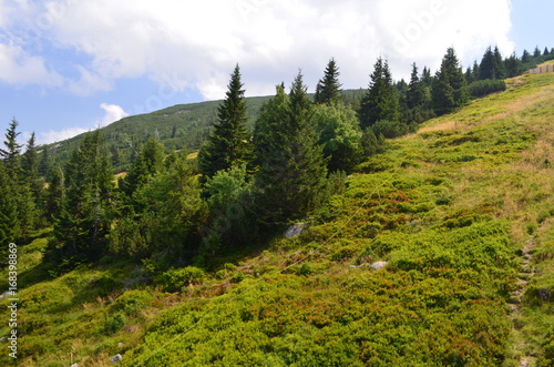 Kopa w Karkonoszach/Kopa Mount in The Karkonosze Mountains, Lower Silesia, Po...