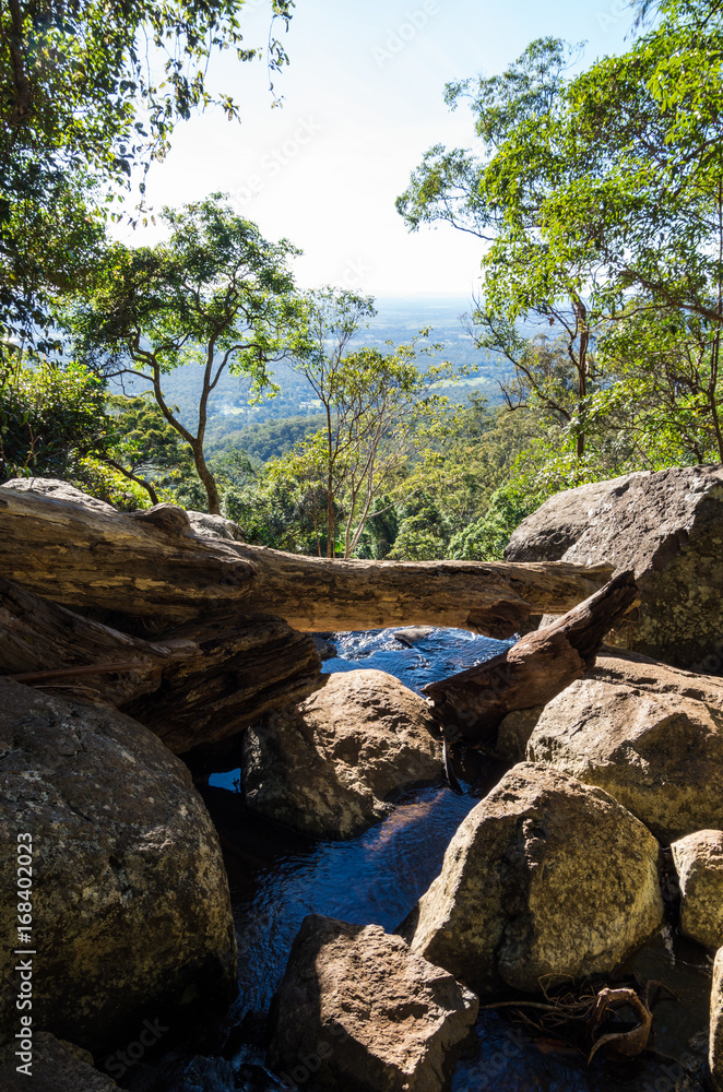 Cameron Falls waterfall on Mt Tamborine Cameron Falls waterfall on Mt Tamborine