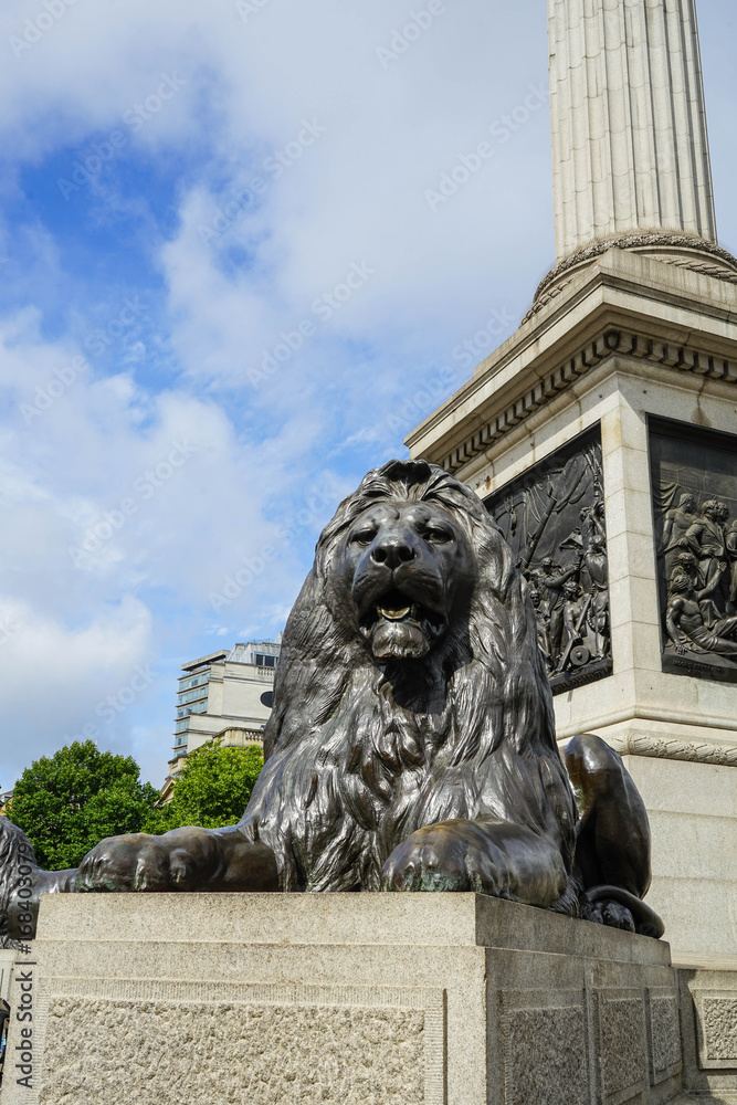 Lion at the base of the Nelson column in London in Trafalgar square