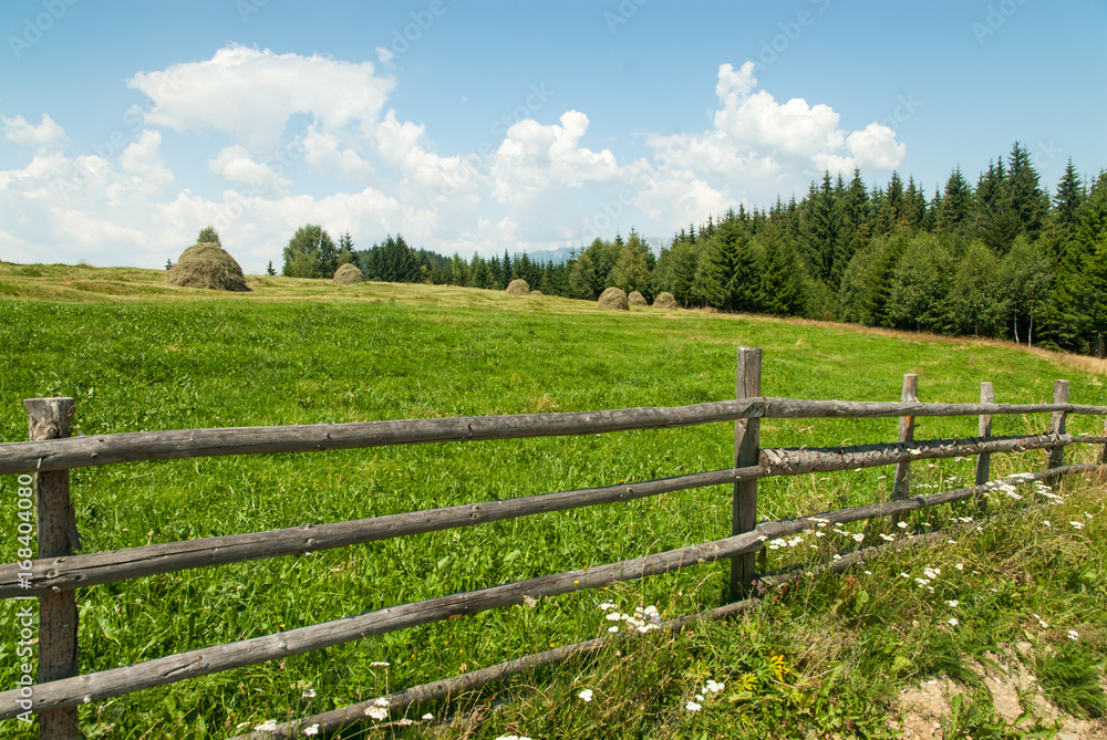 beautiful countryside landscape near fundata village brasov county romania unesco site