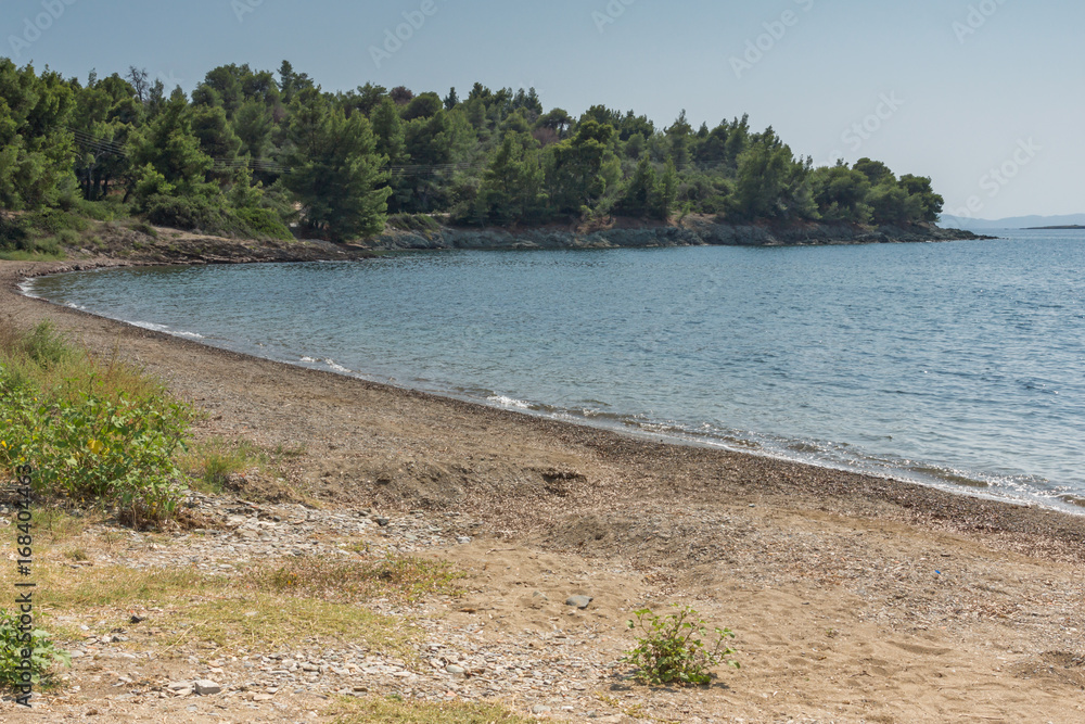 Panoramic view of Koutsoupia Beach at Sithonia peninsula, Chalkidiki, Central Macedonia, Greece Panoramic view of Koutsoupia Beach at Sithonia peninsula, Chalkidiki, Central Macedonia, Greece