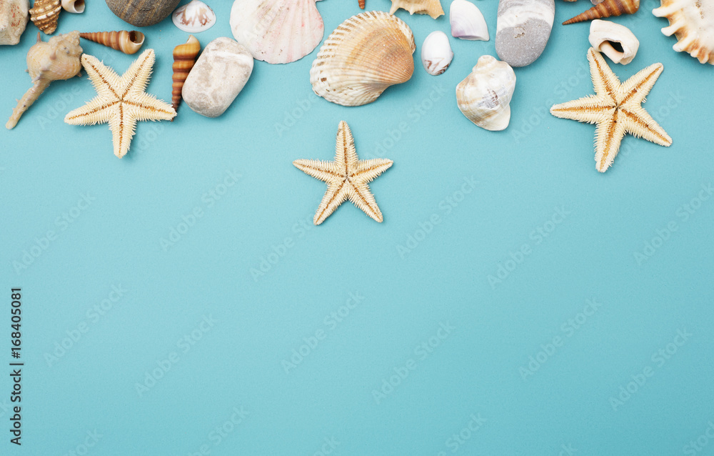 Frame of shells of various kinds on a blue background Frame of shells of various kinds on a blue background