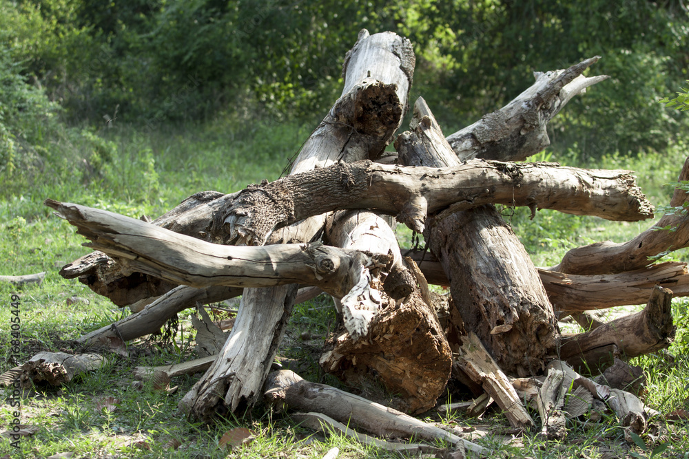 Timber dry Timber dry