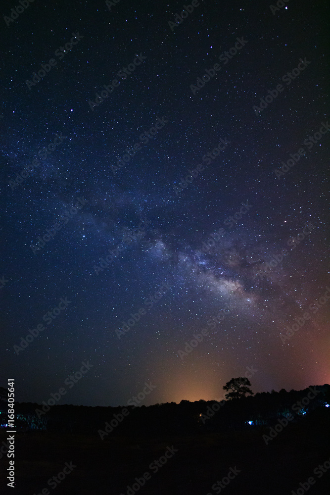 milky way galaxy and silhouette of tree with cloud at Phu Hin Rong Kla National Park,Phitsanulok Thailand