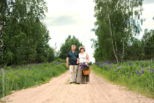 An elderly couple walks through the forest park and a man gives a woman a woven basket with a bouquet of flowers of purple lupines