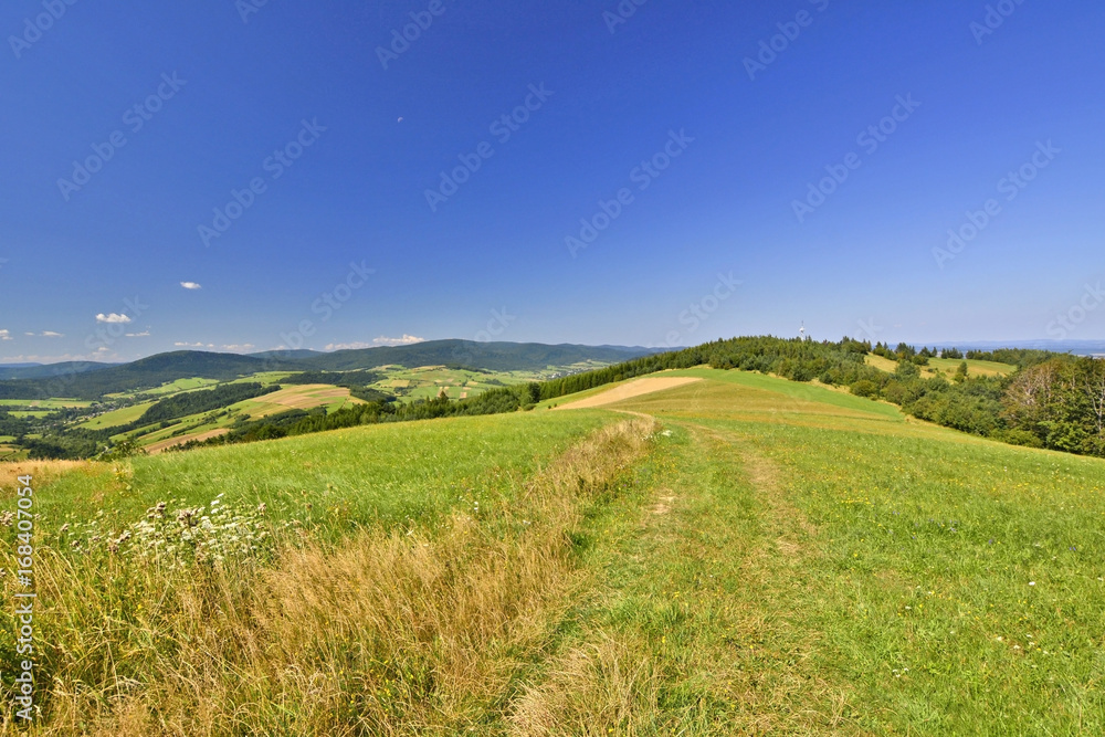 Trail leading through the green hills to the top Grzywacka mountain, Low Beskid, Poland