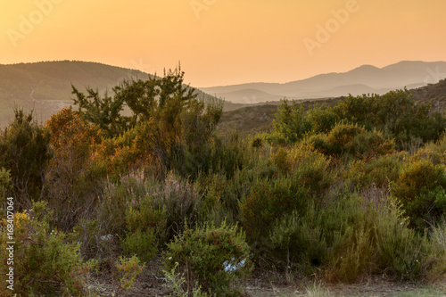 Amazing sunset landscape of Sithonia peninsula, Chalkidiki, Central Macedonia, Greece