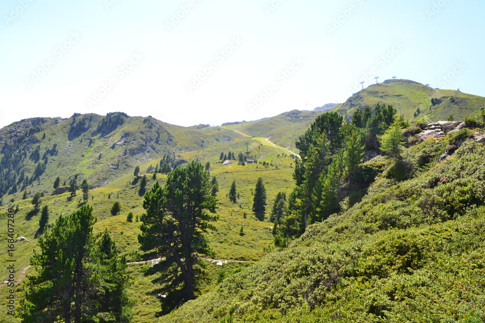Fototapeta premium Berglandschaft