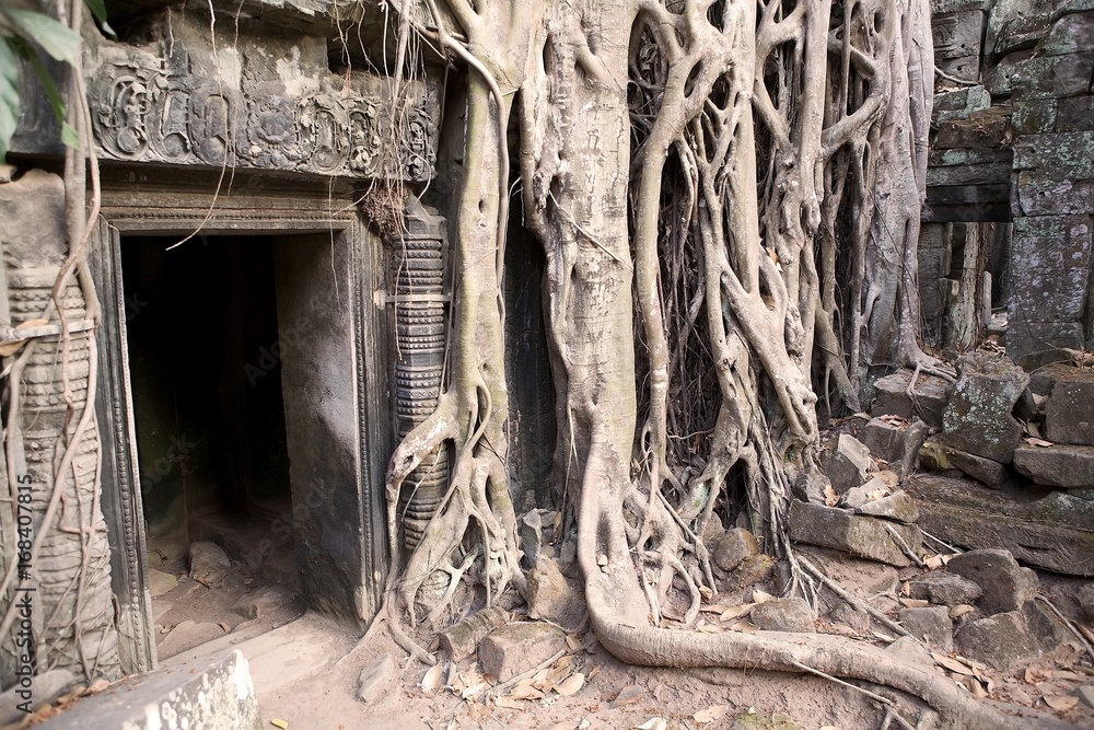 Ta Prohm temple