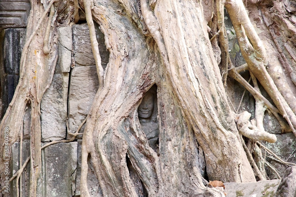 Ta Prohm temple Ta Prohm temple