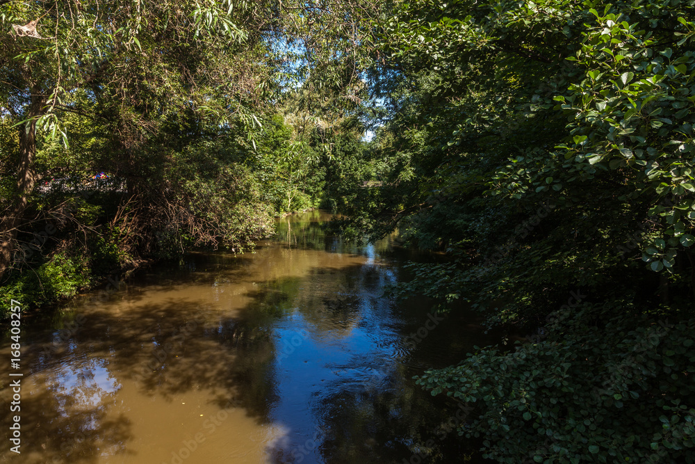 Auenlandschaft am Fluss im Sommer Auenlandschaft am Fluss im Sommer