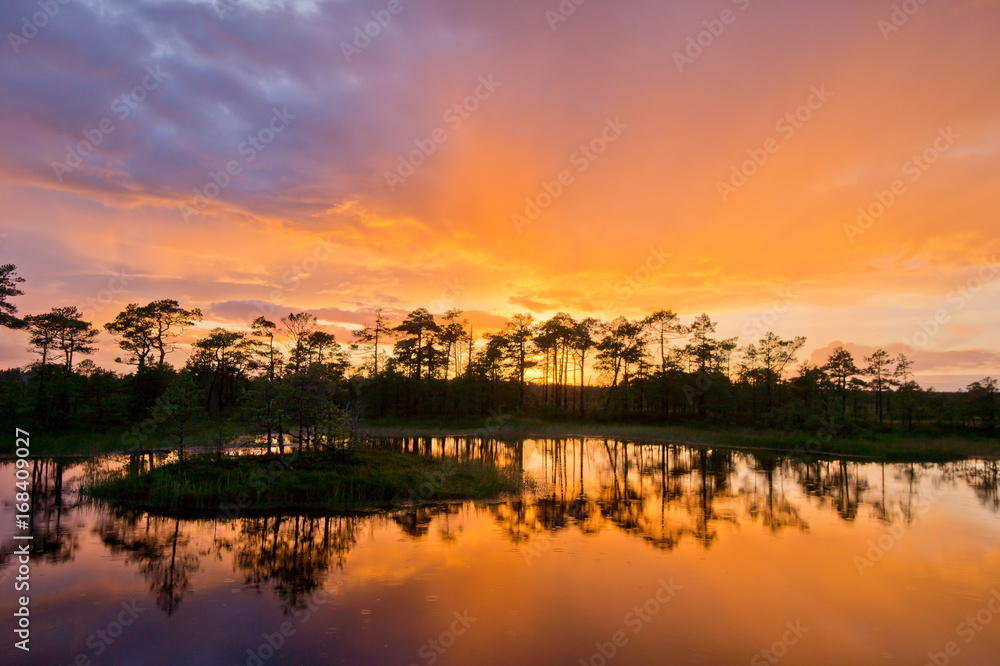 Sunset in the bog, golden marsh, lakes and nature environment. Sundown evening light and rain