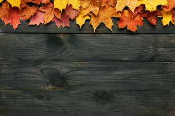Wooden background with autumn leaves