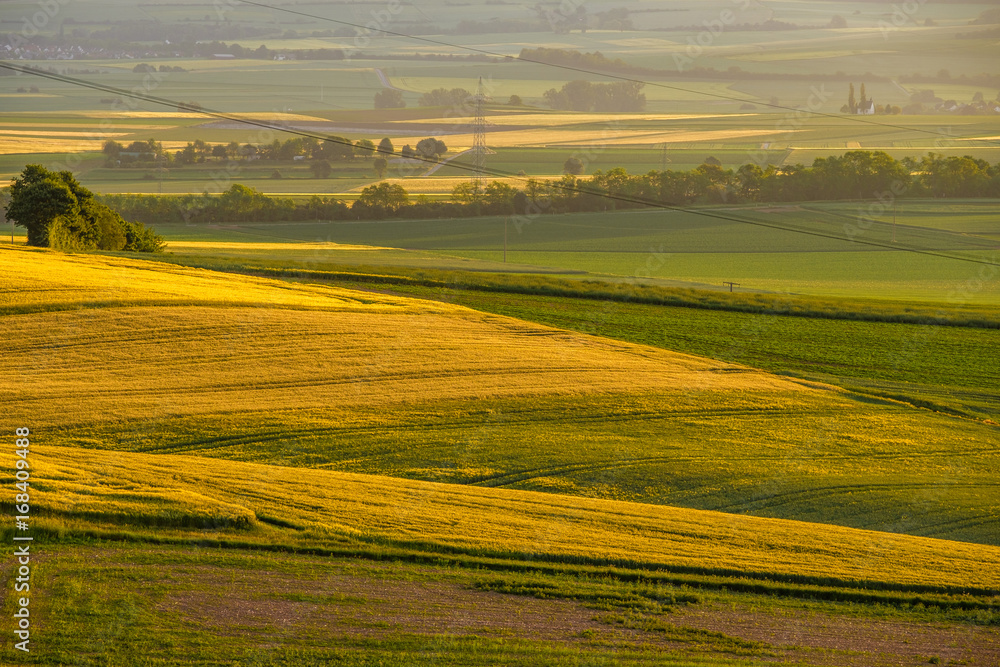 Rolling hills on sunset. Rural landscape. Green fields and farmlands, fresh vibrant colors