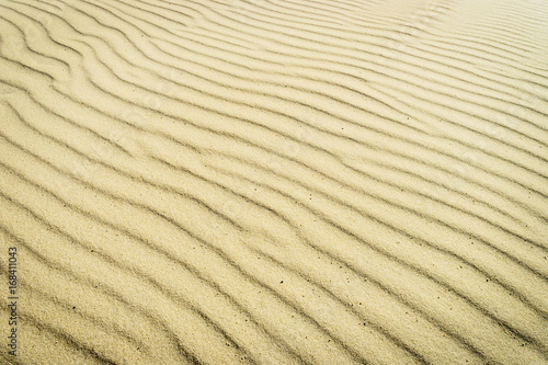 Fototapeta Naklejka Na Ścianę i Meble -  Harmonic pattern of rippled sand surface on beach. Climate change, global warming concept.