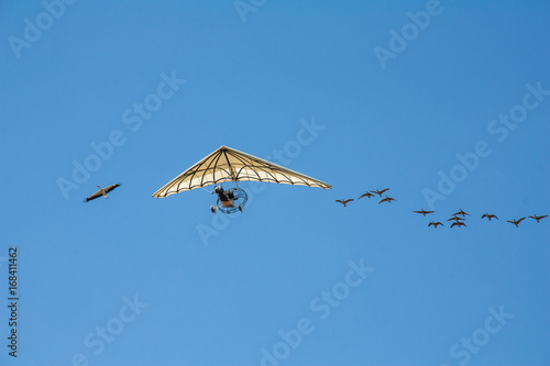 ULM en vol accompagné par un vol d'oiseaux