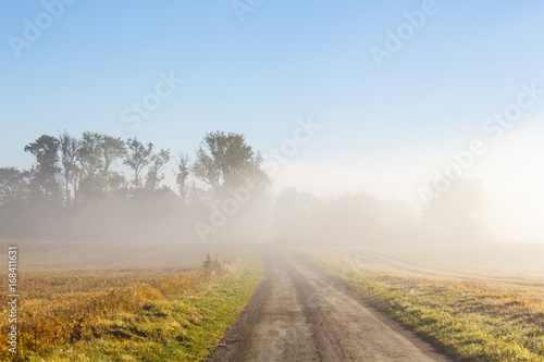 Morning mist over a road in the countryside
