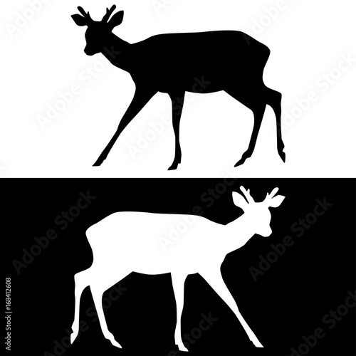 Sika deer with horns. Black and white silhouettes