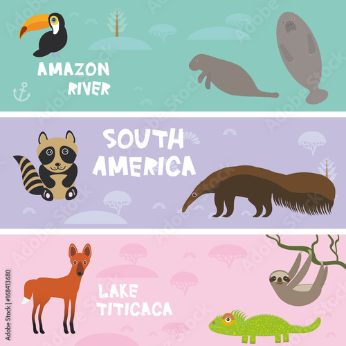 Cute animals set anteater manatee sea cow sloth toucan chameleon raccoon Maned wolf  kids background  South America animals Lake Titicaca  Amazon River bright colorful banner. Vector