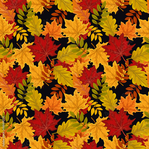 Seamless autumn pattern with leaves.Colorful background for wallpaper  gift paper  greeting cards  wrapping  textile  print. 