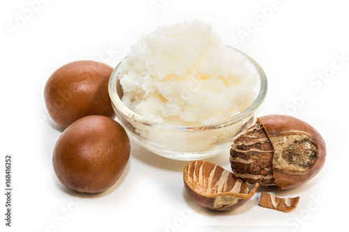 Shea nuts, with detail of its interior. Vitellaria paradoxa. photo