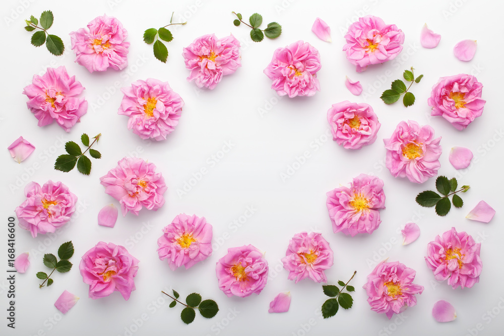 Frame of pink damask roses and green leaves on white background. Flat lay, top view.