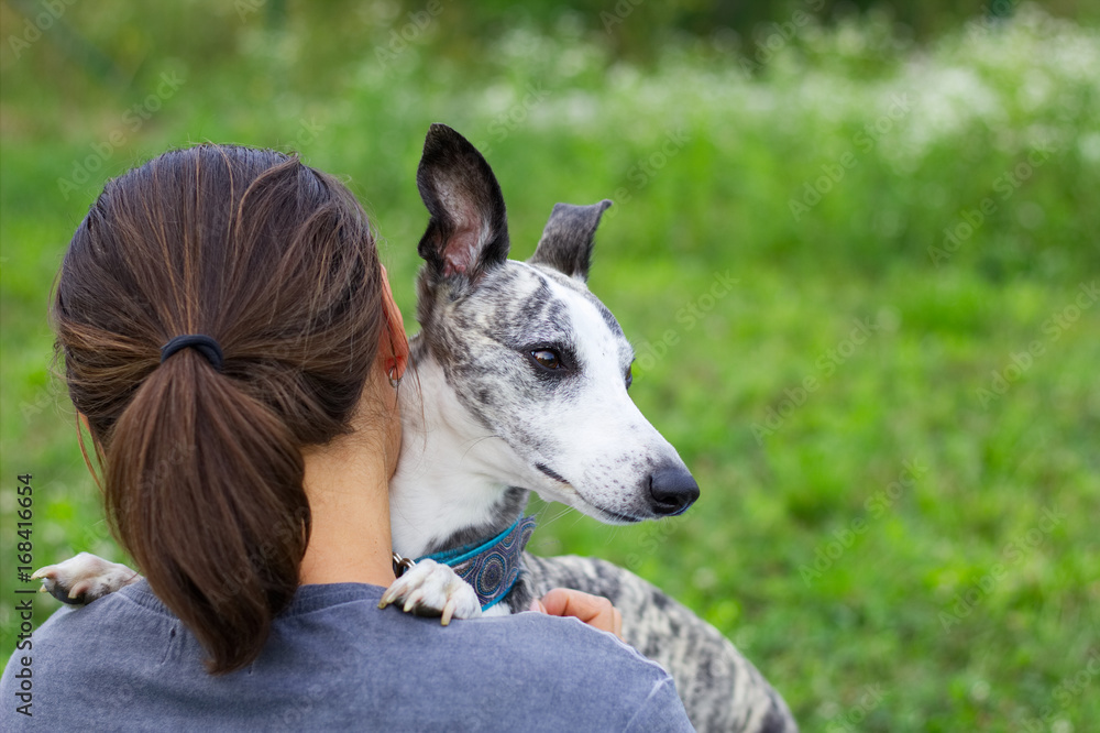 Woman with her cute dog. The whippet is resting with his owner. Woman with her cute dog. The whippet is resting with his owner.
