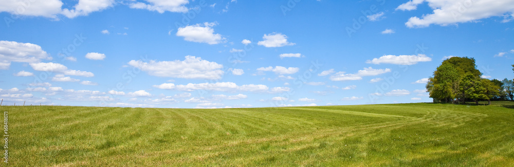 Campagne panoramique en France