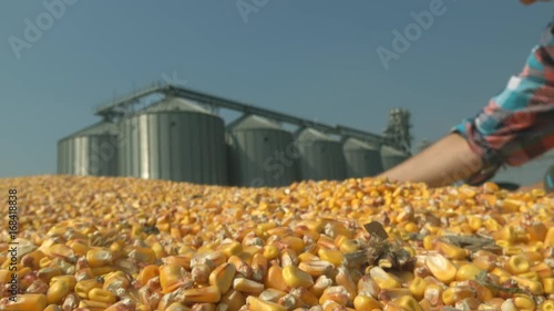 Corn kernel silos tank storage