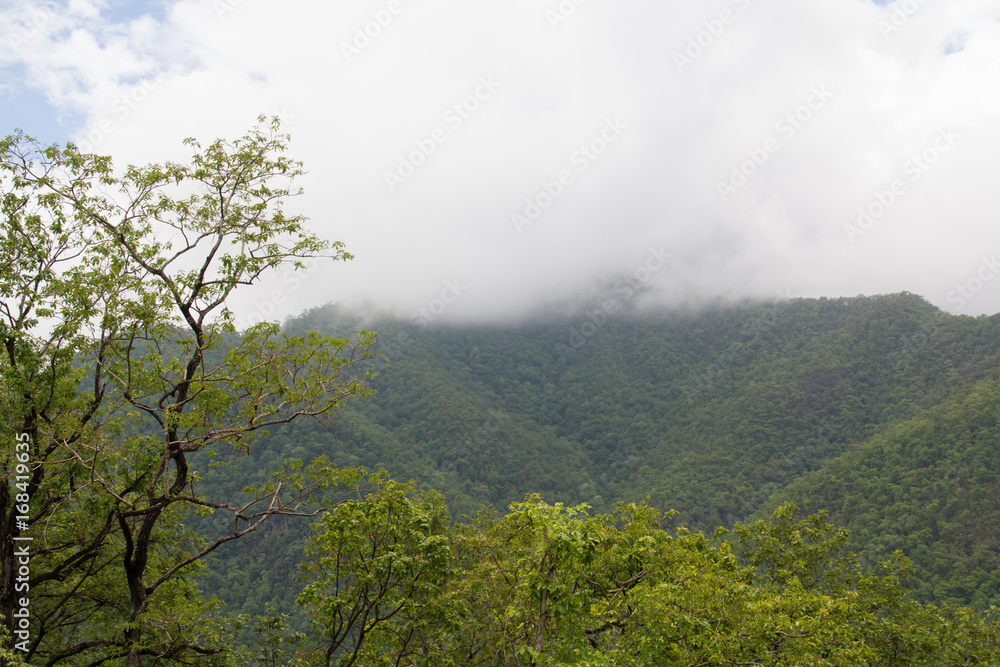 Clouds on the mountain. Clouds on the mountain.