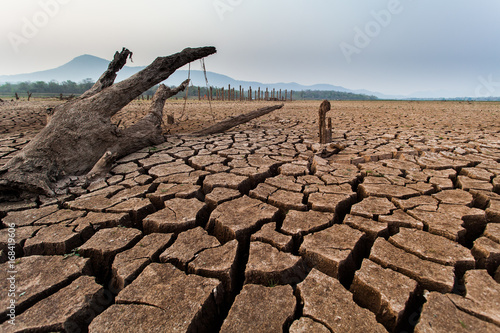 Cuadro en lienzo Cracked dry soil