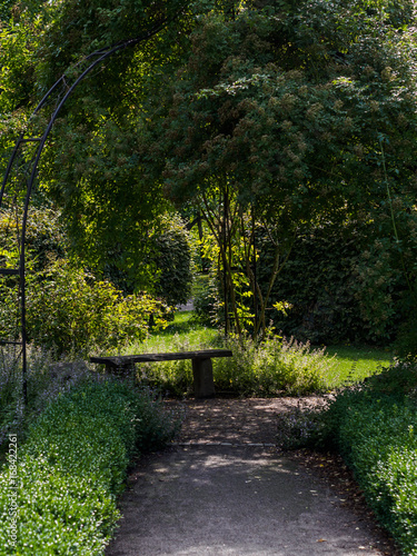 A path with stone bench covered by trees