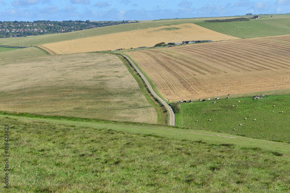 Rolling farmland in East Sussex.